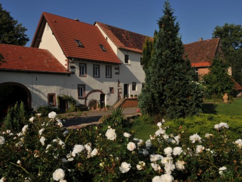 Ferielejlighed - 2 personer -  - Mühlgasse - 76865 - Rohrbach