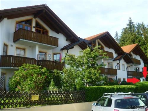 Holiday apartment - 6 persons -  - Franz-Betz-Str. - 94227 - Zwiesel