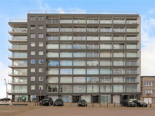 Ferielejlighed - 4 personer -  - 8370 - Blankenberge