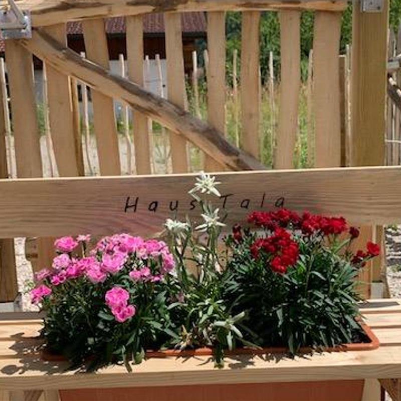 Ferielejlighed - 4 personer -  - Pettendorfer Straße - 83250 - Marquartstein