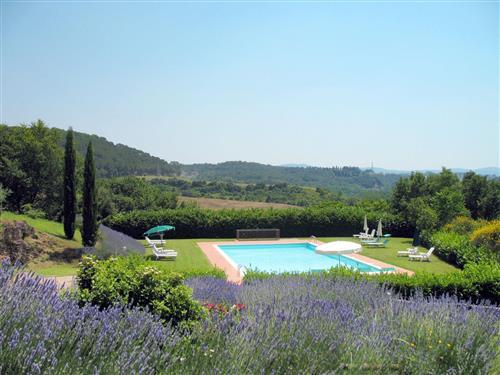 Ferienhaus - 6 Personen -  - Colle Val D'elsa - 53036