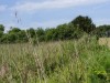 Billede 26 - Grund