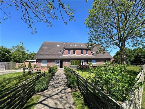 Ferielejlighed - 5 personer -  - Halligweg - 25899 - Dagebüll