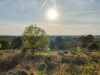 Billede 12