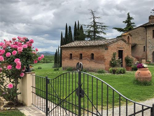 Holiday apartment - 3 persons -  - Chiusi - 53043