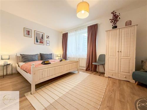 Ferienwohnung - 3 Personen -  - Eliesenstrasse - 01309 - Dresden