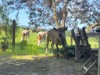 Image 5 - Outside