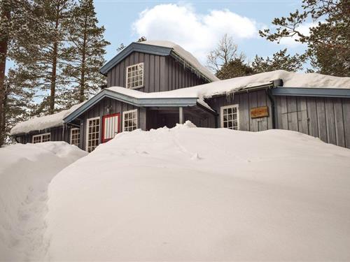 Feriehus - 12 personer -  - Øvre Hammarvei - Norefjell/Norehammern - 3536 - Noresund