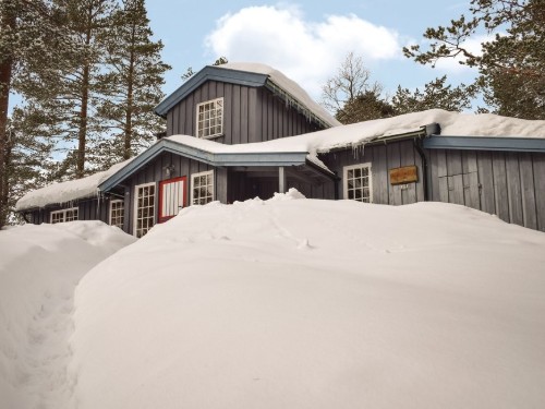 Feriehus - 12 personer -  - Øvre Hammarvei - Norefjell/Norehammern - 3536 - Noresund