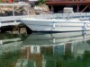 Bilde 12