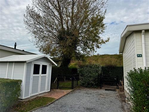 Feriehus - 4 personer -  - Schoneveld - 4511HR - Breskens