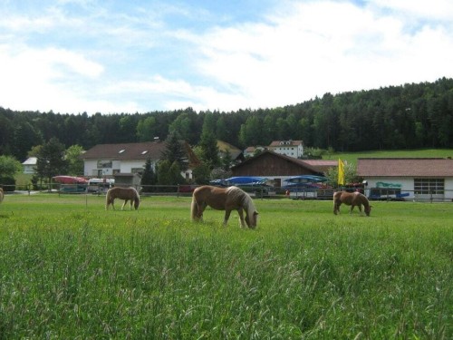 Ferienhaus - 2 Personen -  - 93468 - Miltach