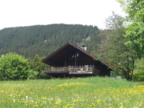 Ferienhaus - 8 Personen -  - 3818 - Grindelwald