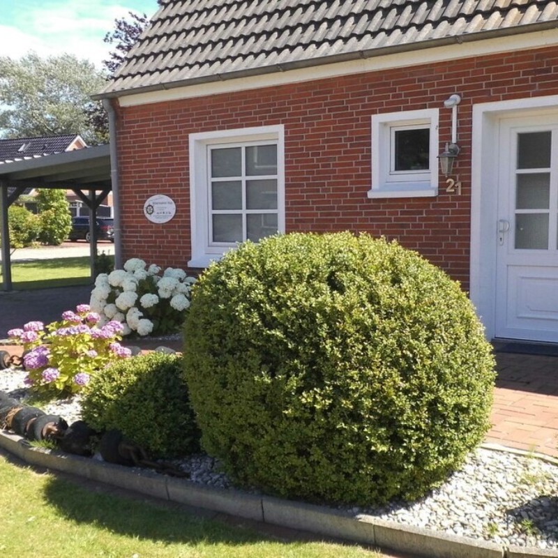 Sommerhus - 2 personer -  - 26736 - Krummhörn