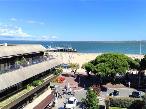 Ferienhaus - 2 Personen -  - 33120 - Arcachon