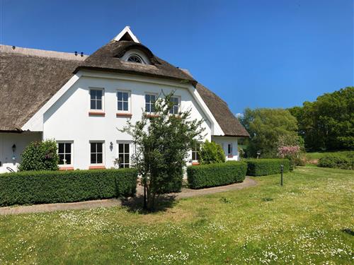 Ferienhaus - 4 Personen -  - Wreechen - 18581 - Putbus