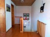 Bild 44