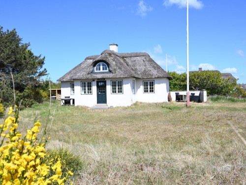 Sommerhus - 4 personer -  - Blåklokkevej - Vedersø Klit - 6990 - Ulfborg