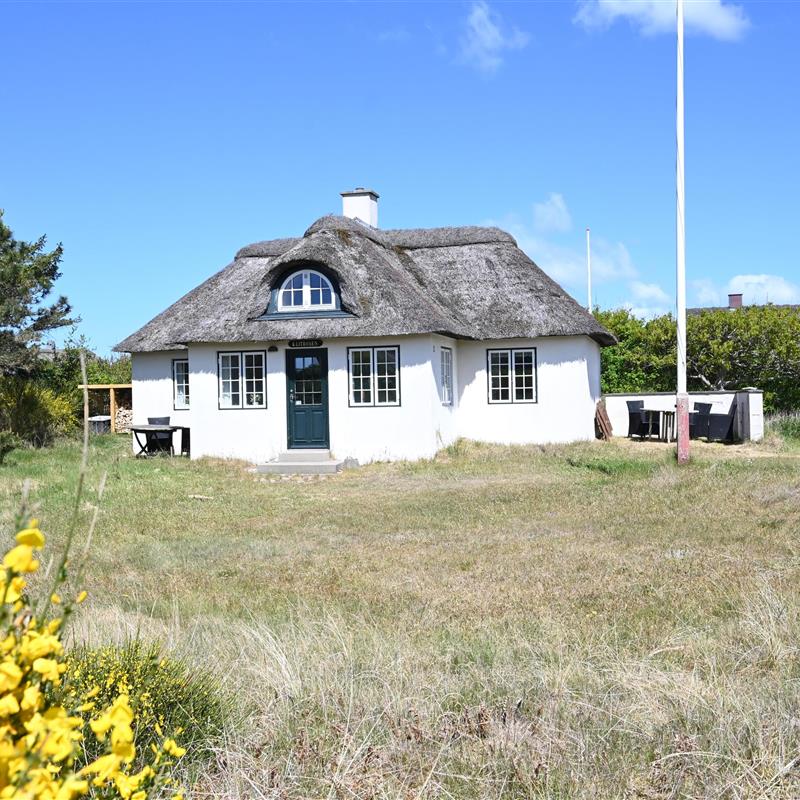 Sommerhus - 4 personer -  - Blåklokkevej - Vedersø Klit - 6990 - Ulfborg