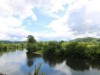 Image 29