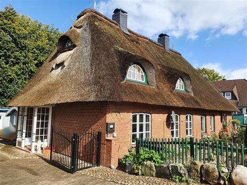 Ferielejlighed - 7 personer -  - Lannweg - 24306 - Lebrade