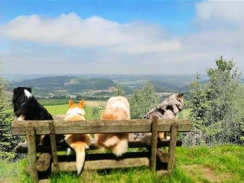 Ferielejlighed - 3 personer -  - Am Dörnberg - 59909 - Bestwig