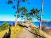 Bild 3 - Utsikt över vatten