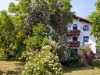 Bild 19