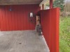 Bild 22
