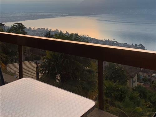 Holiday apartment - 3 persons -  - Via Patocchi - 6644 - Orselina