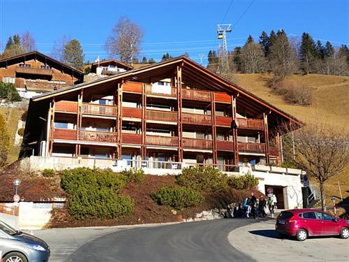 Holiday apartment - 4 persons -  - Bidmistrasse - 6084 - Hasliberg Wasserwendi