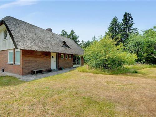 Ferienhaus - 6 Personen -  - Ndr. Skovvej - Houstrup - 6830 - Nr. Nebel