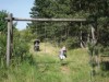 Bild 17