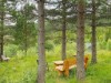 Bild 4 - Ude