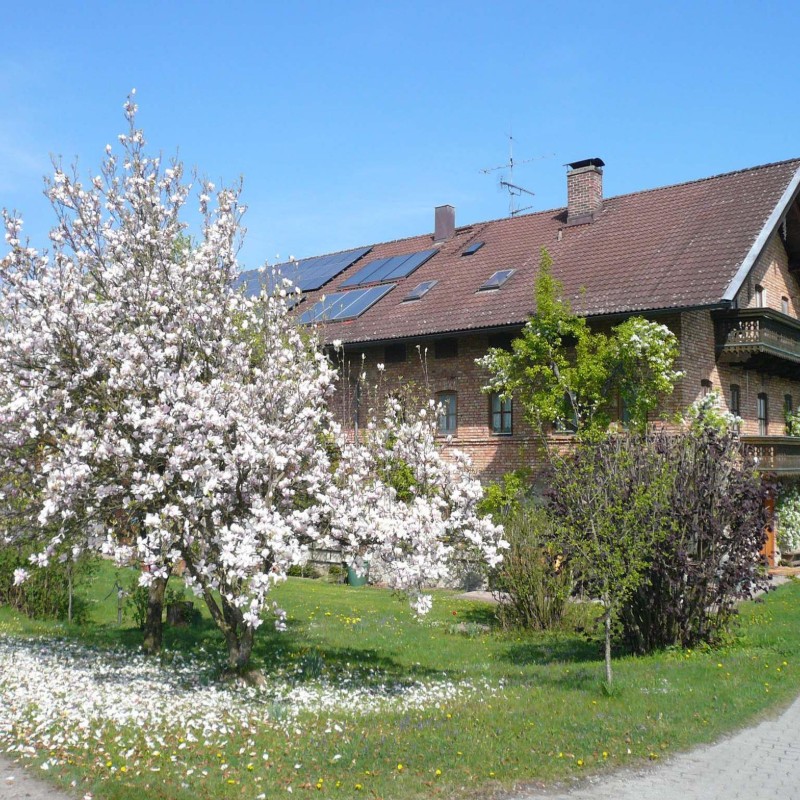 Bondegård - 4 personer -  - Obermoosen Nr. - 83083 - Riedering