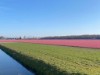 Bild 29 - Ude