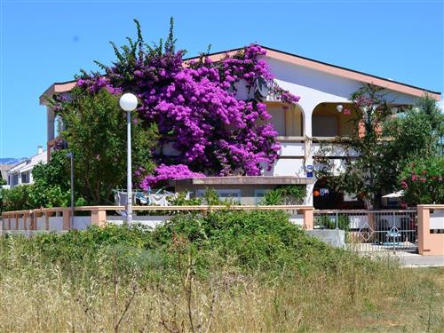 Ferieleilighet - 4 personer -  - Vir - 23234