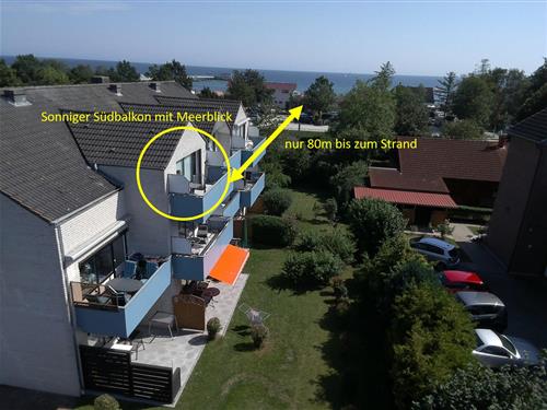 Ferieleilighet - 2 personer -  - Deichstraße - 23746 - Kellenhusen