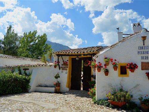 Holiday Home/Apartment - 10 persons -  - Cortijo Pulgarin Bajo - 29194 - Alfarnatejo