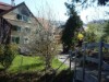 Billede 5 - Ude