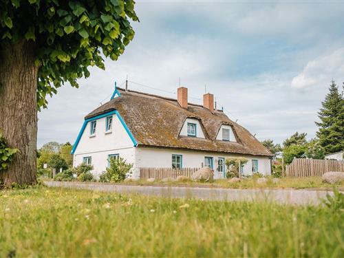 Sommerhus - 5 personer -  - Dorfstr. - 18556 - Breege