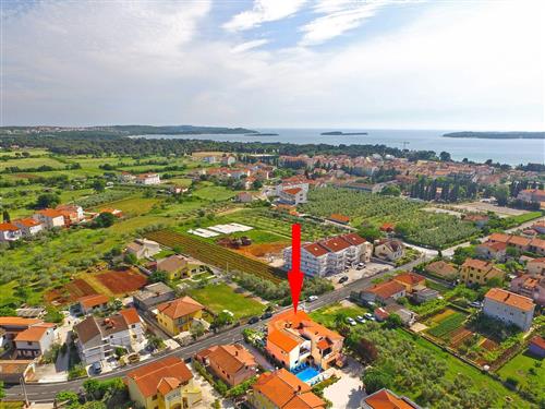 Ferielejlighed - 6 personer -  - Galižanska cesta - 52212 - Fazana