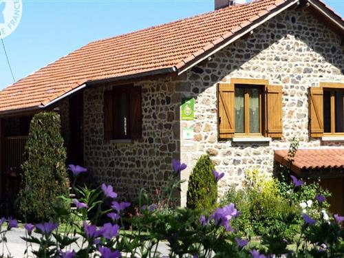 Ferienhaus - 6 Personen -  - 42990 - Sauvain