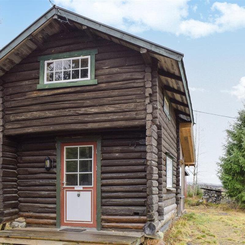 Sommerhus - 4 personer -  - Vermundsbergvegen - 2283 - Åsnes Finnskog
