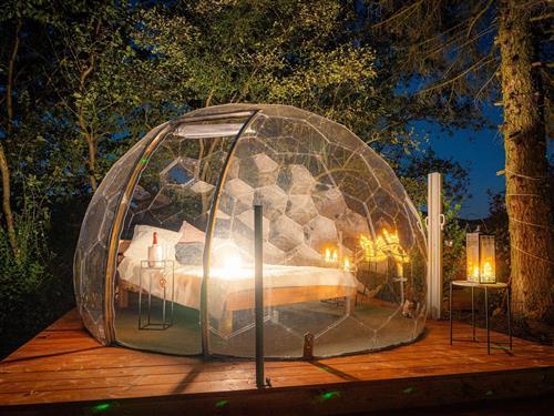  - 1 person -  - Schönfußstraße - 95688 - Friedenfels