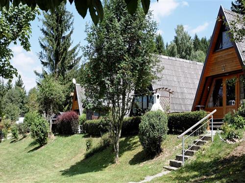 Holiday Home/Apartment - 5 persons -  - 94065 - Waldkirchen