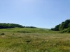 Billede 34