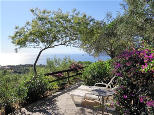 Ferienhaus - 2 Personen -  - Capoliveri - 57031