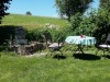 Bild 36