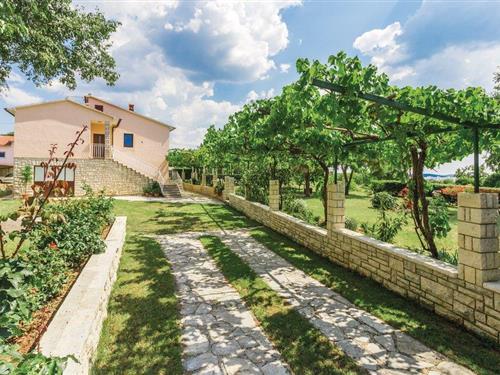 Semesterlägenhet - 4 personer -  - Rupnjak - 52352 - Kanfanar